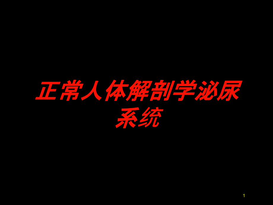 正常人体解剖学泌尿系统培训ppt课件_第1页