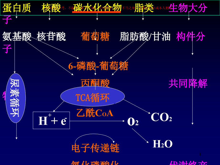 糖类代谢医学知识ppt课件_第1页