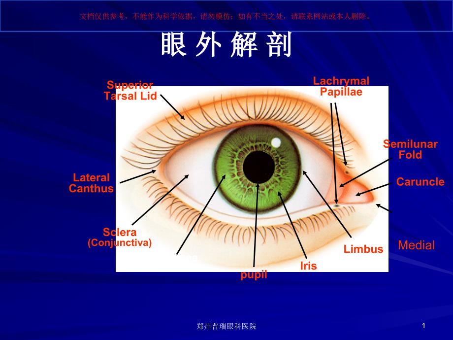 眼科基础知识讲解培训ppt课件_第1页