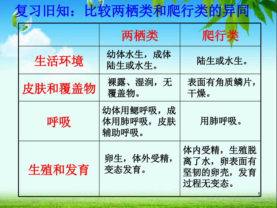 第四章-第八节-鸟类-----我课件_第1页