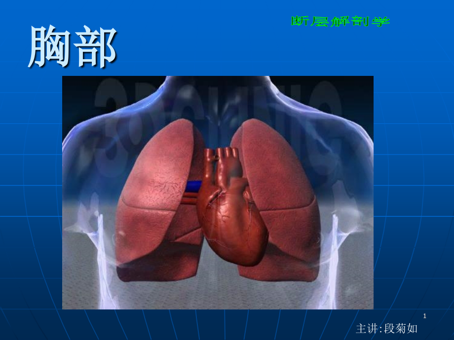 断层解剖学胸部课件_第1页