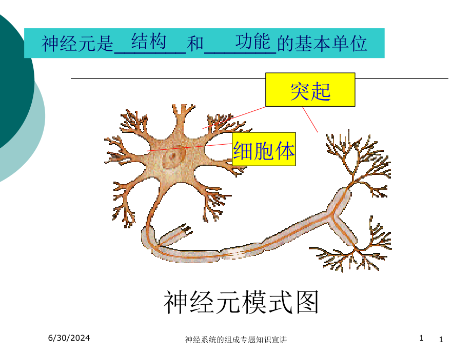 神经系统的组成专题知识宣讲培训ppt课件_第1页