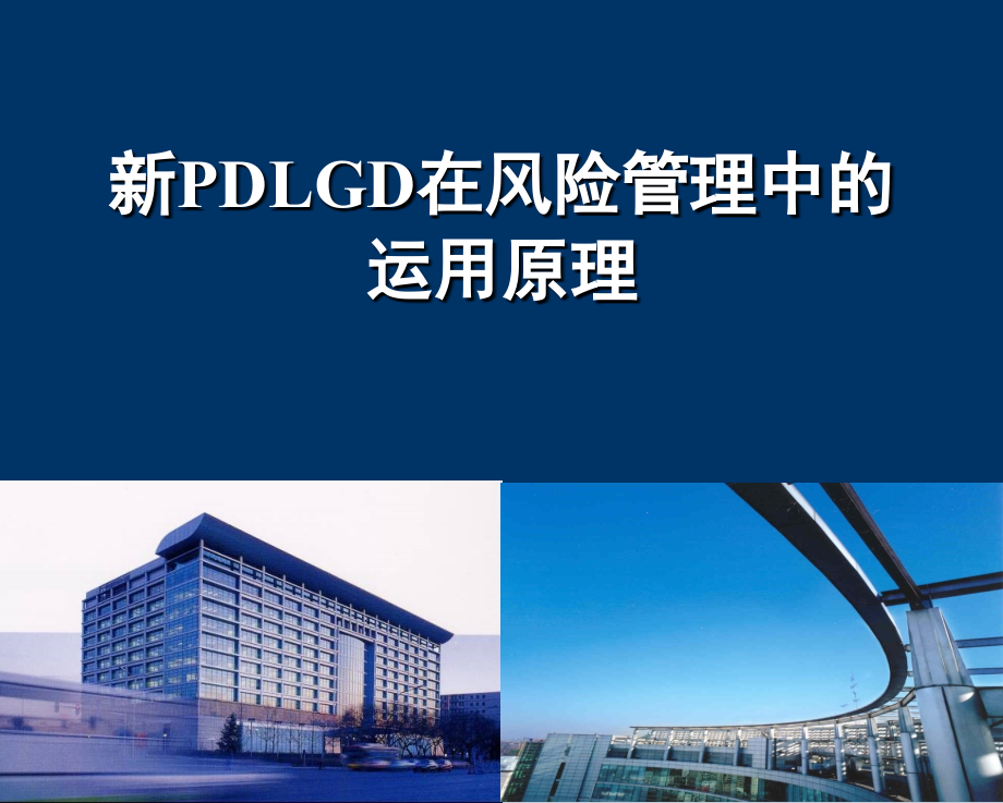 新PDLGD在风险管理中的运用原理-课件_第1页