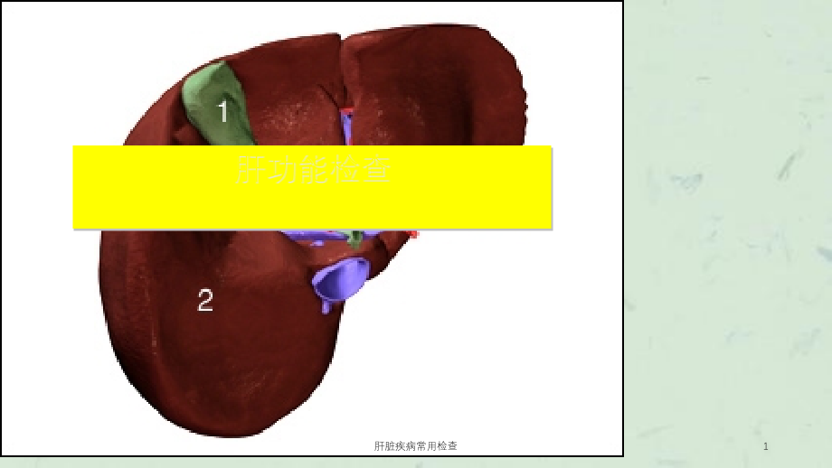 肝脏疾病常用检查ppt课件_第1页