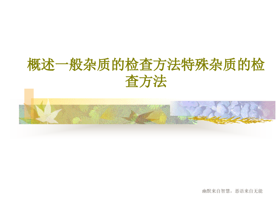 概述一般杂质的检查方法特殊杂质的检查方法课件_第1页