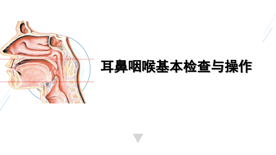 耳鼻咽喉基本检查与操作课件_第1页