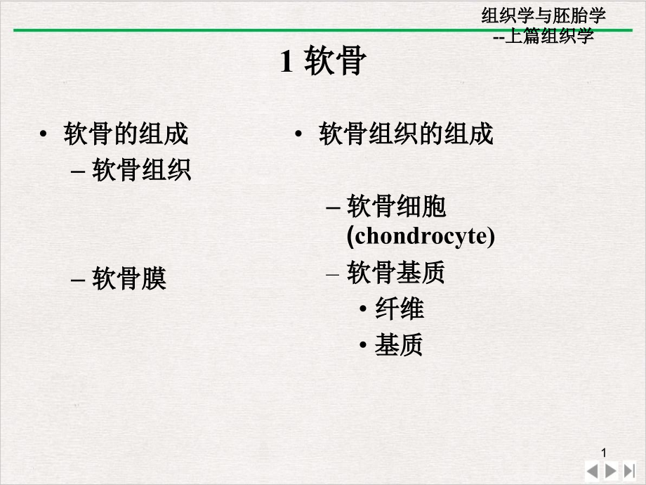 软骨和骨ppt课件_第1页