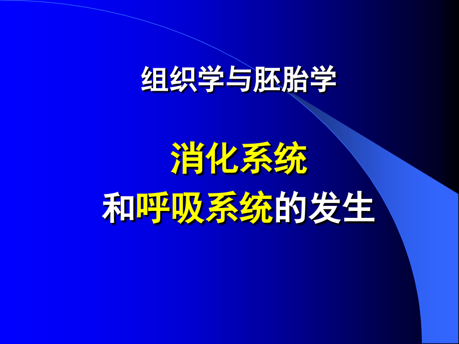 消化系统--组织学与胚胎学--课件_第1页