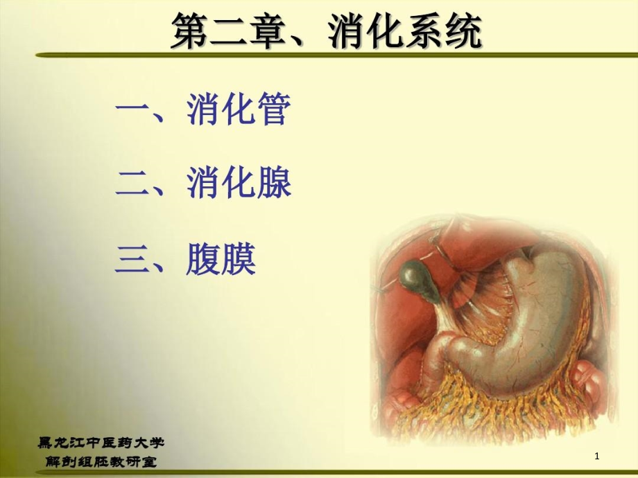 正常人体解剖学消化系统课件整理_第1页