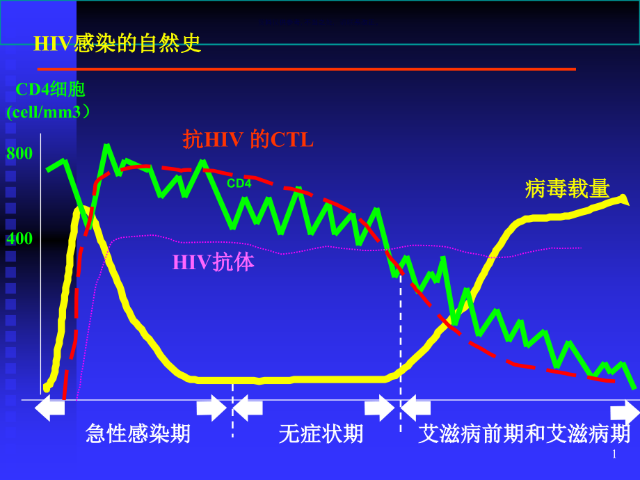 论艾滋病自然史诊断与分期课件_第1页