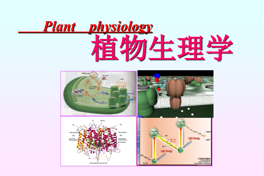 植物生理课件0introduction_第1页