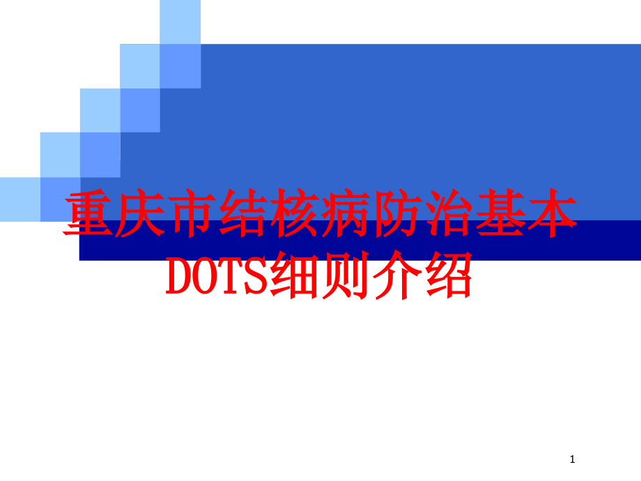 重庆市结核病防治基本DOTS细则介绍培训ppt课件_第1页