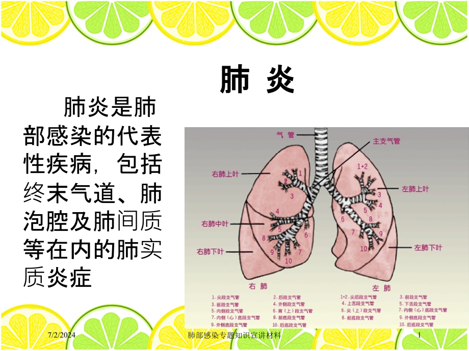 肺部感染专题知识宣讲材料培训ppt课件_第1页