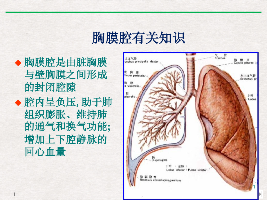 闭式胸腔引流课件_第1页