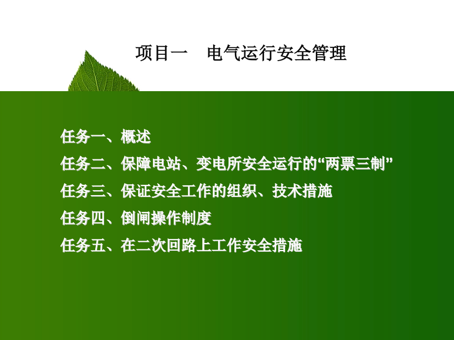 项目水电站电气运行安全管理概述课件_第1页