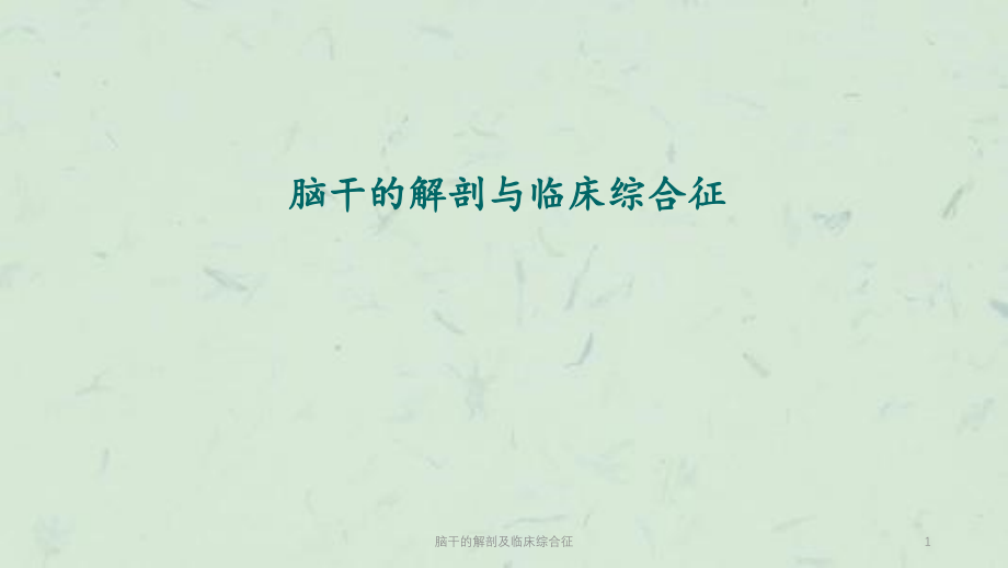 脑干的解剖及临床综合征ppt课件_第1页