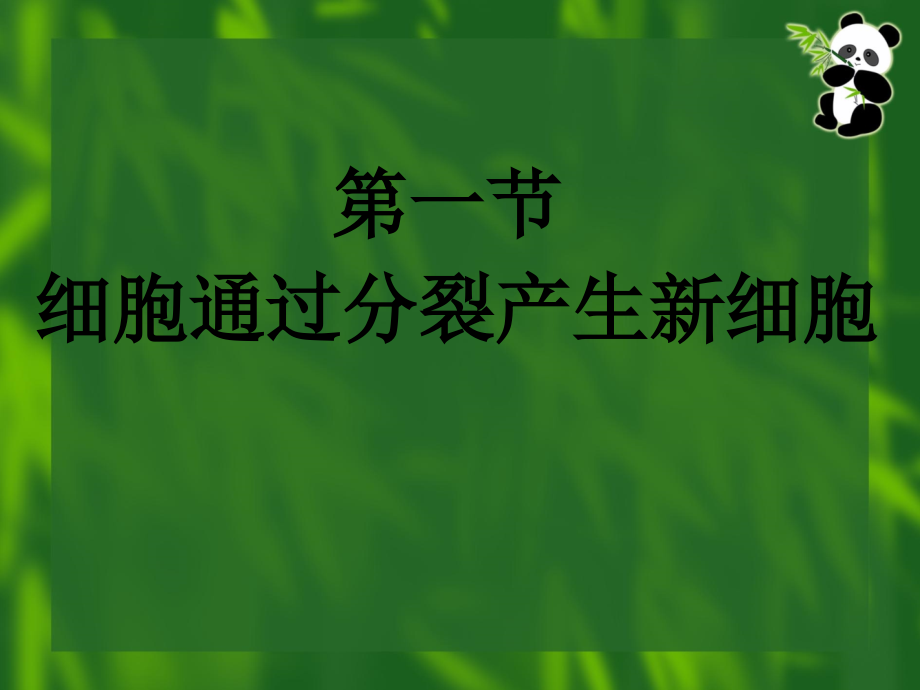 r细胞通过分裂产生新细胞5课件_第1页