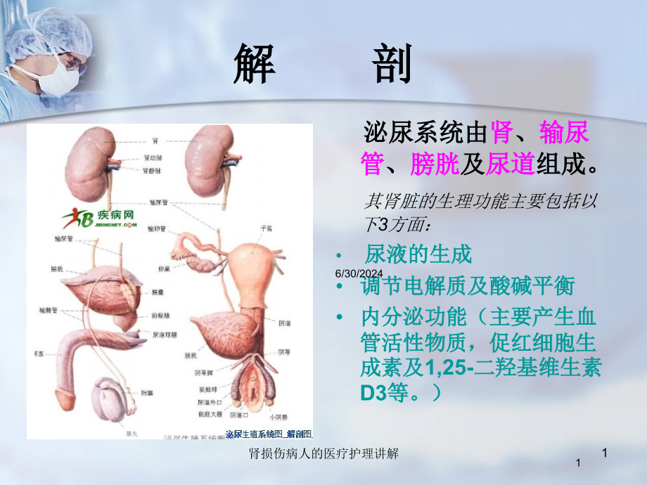 肾损伤病人的医疗护理讲解培训ppt课件_第1页