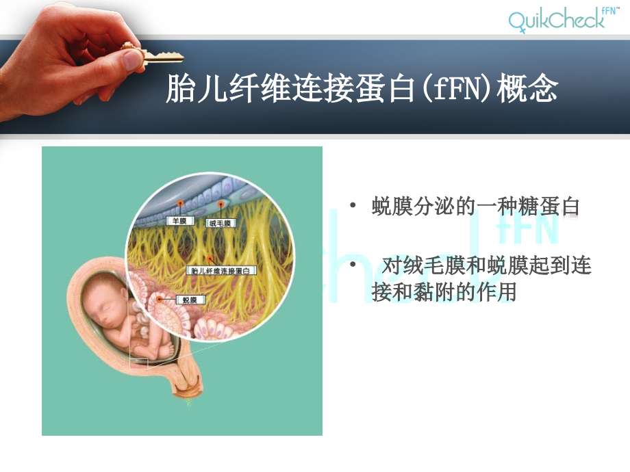 胎儿纤维连接蛋白fFN临床应用ppt课件_第1页