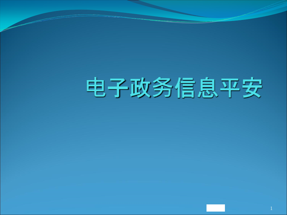 电子政务信息安全维护_第1页