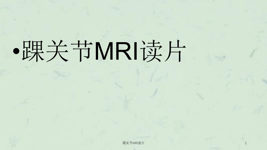 踝关节MRI读片ppt课件_第1页