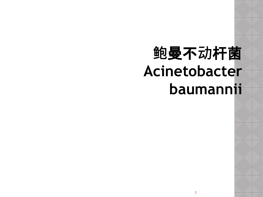 鲍曼不动杆菌Acinetobacter--baumannii课件_第1页