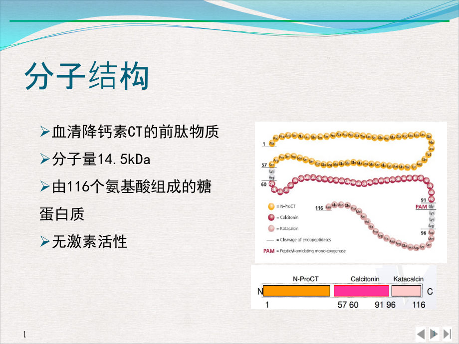 降钙素原及其在急诊感染性疾病中的临床应用课件_第1页