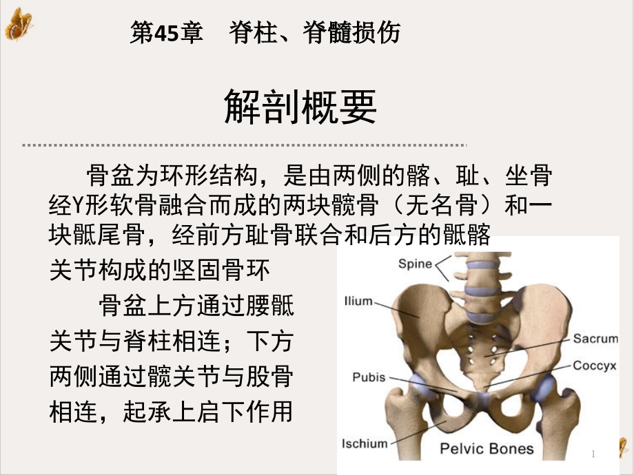 骨盆髋臼骨折全解ppt课件_第1页