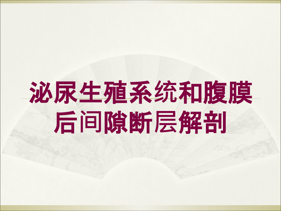 泌尿生殖系统和腹膜后间隙断层解剖培训课件_第1页