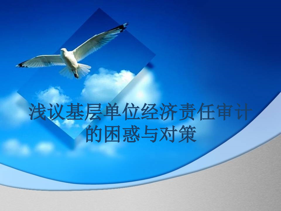 浅议基层单位经济责任审计的困惑与对策培训课件_第1页