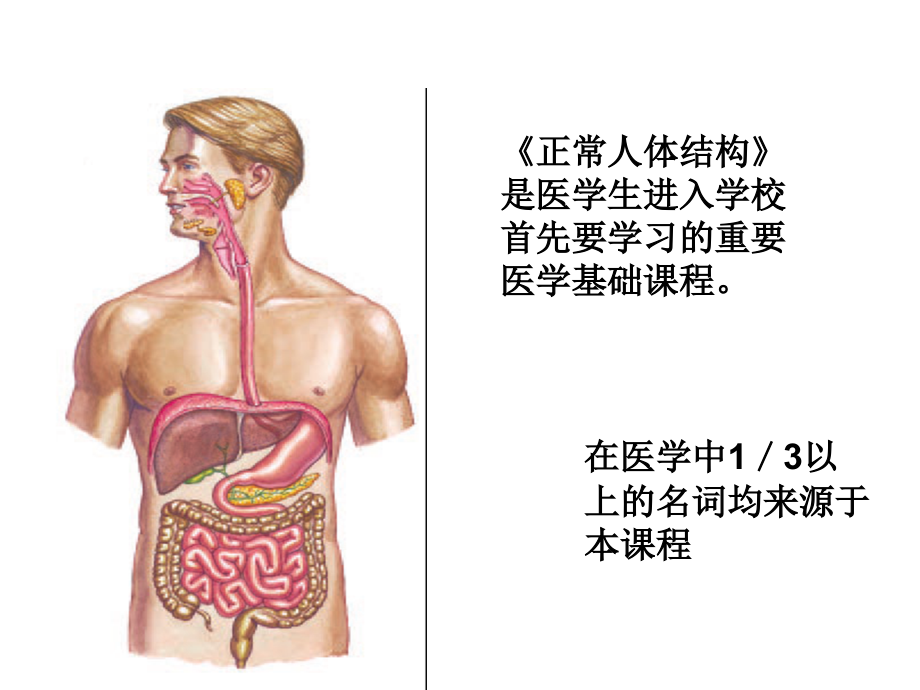 正常人体结构1绪论与细胞课件_第1页