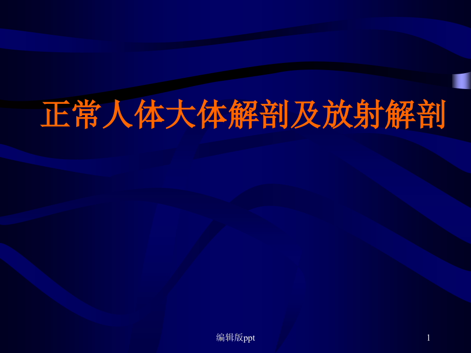 正常人体大体解剖及放射解剖课件_第1页