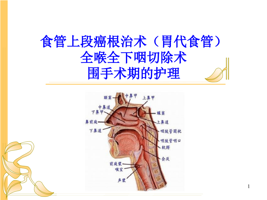 食管上段癌根治术(胃代食管)全喉全下咽切除术围手术期护理课件_第1页