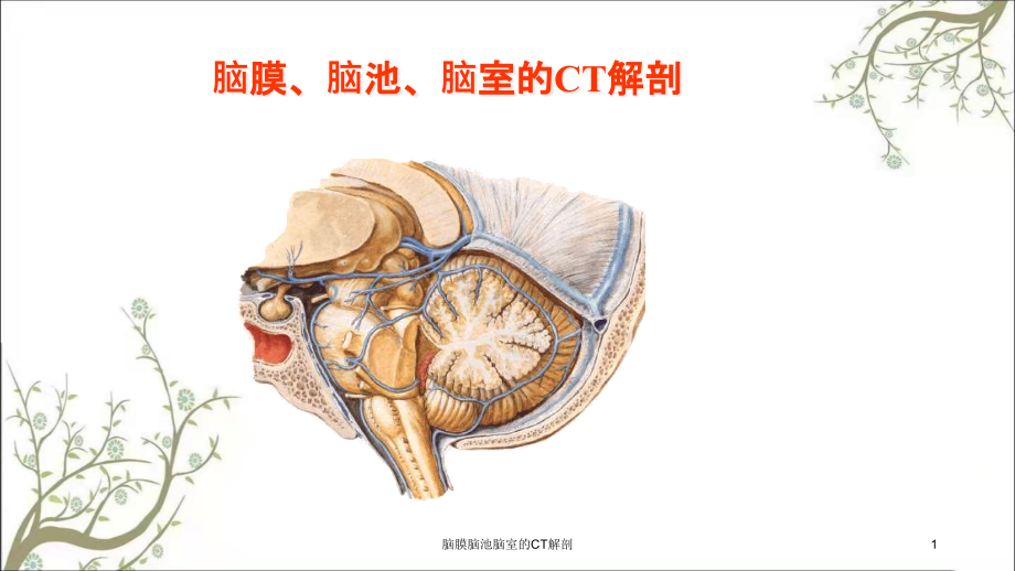 脑膜脑池脑室的CT解剖ppt课件_第1页