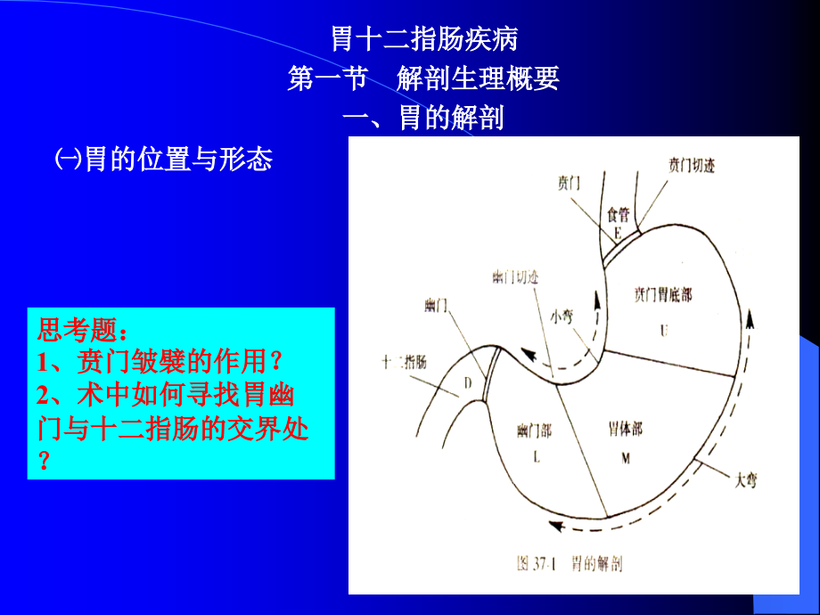 胃十二指肠疾病之ppt课件_第1页