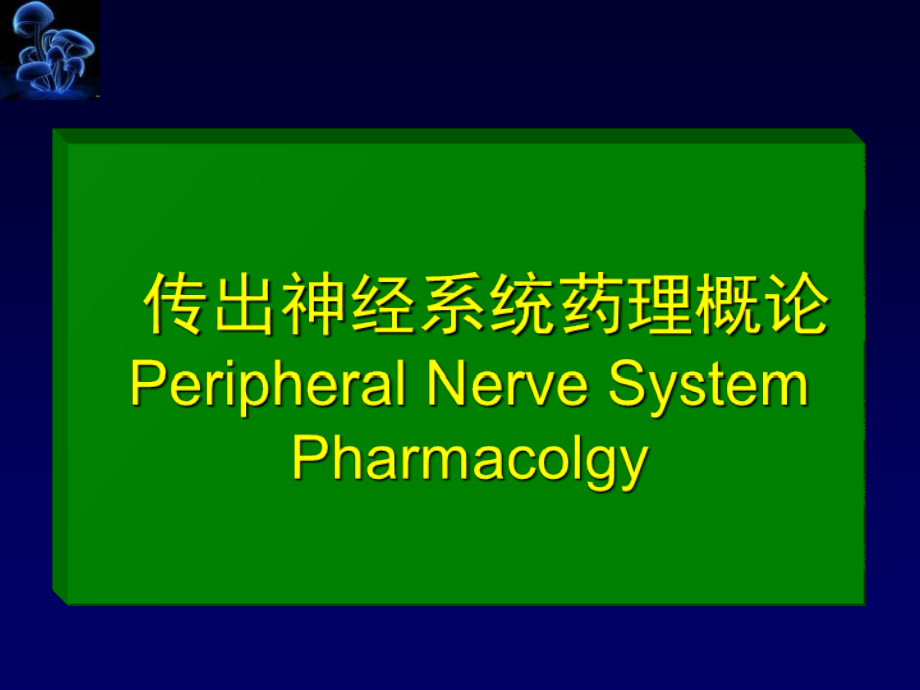 药理学-第4章-传出神经系统药理概论课件_第1页