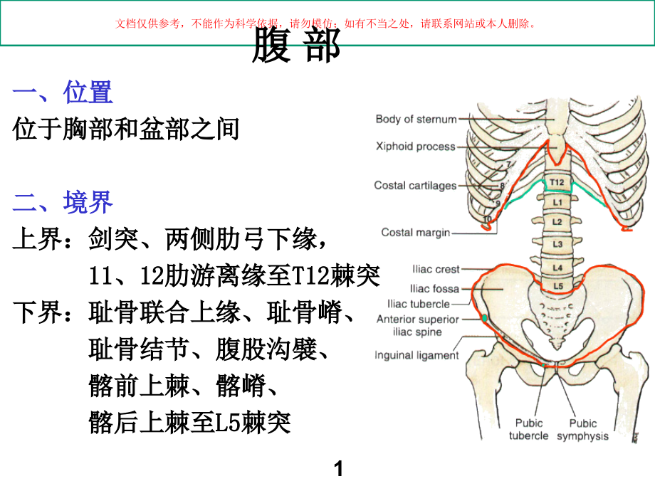 腹前外侧壁医学知识讲座培训ppt课件_第1页