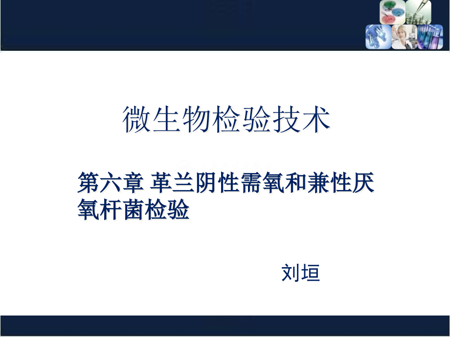 革兰阴性需氧和兼性厌氧杆菌检验课件_第1页