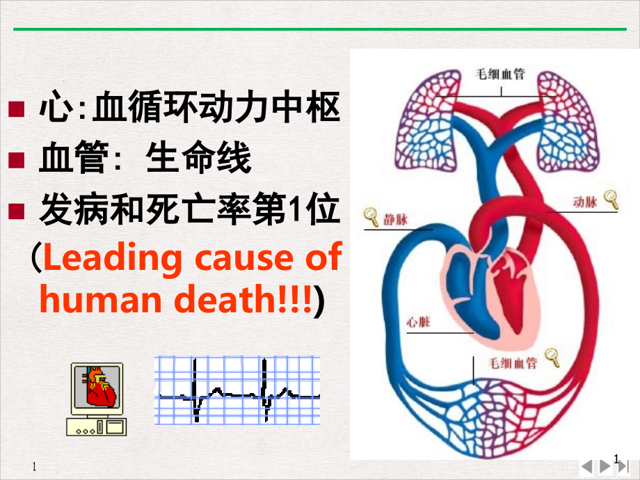 风湿菌心瓣膜课件_第1页