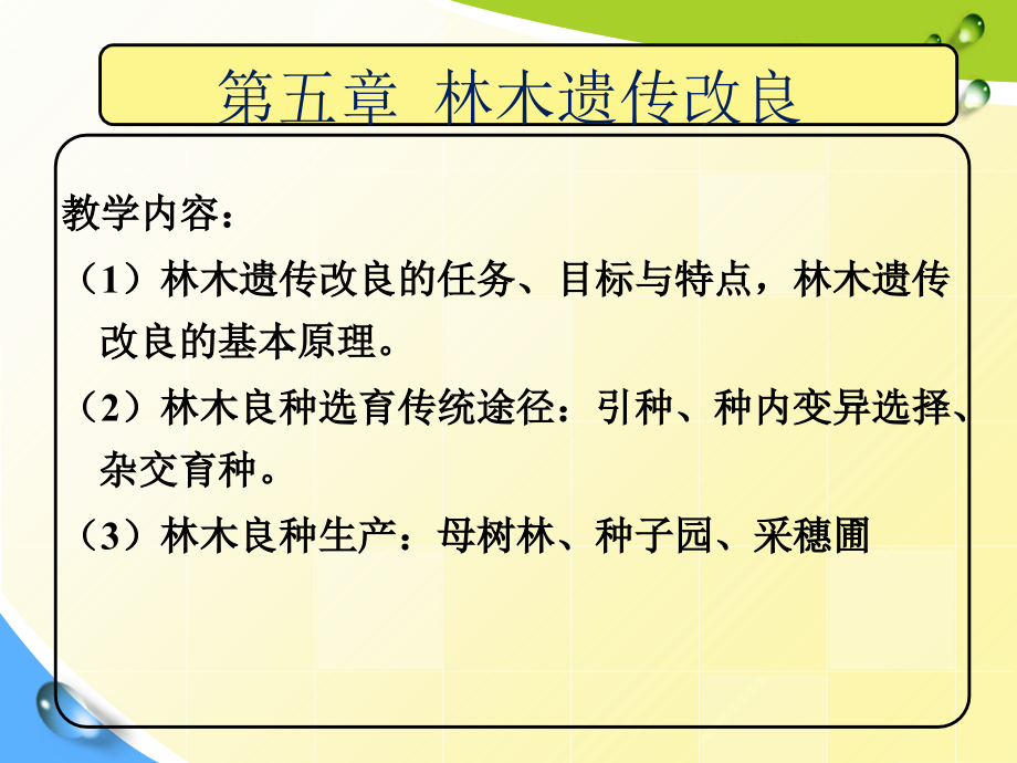 林学概论第5章林木遗传改良课件_第1页