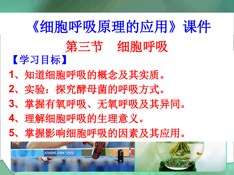 苏教版高中生物必修1ppt课件细胞呼吸原理的应用_第1页