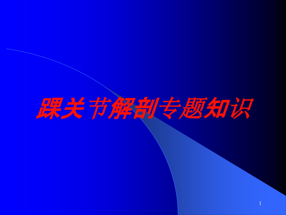 踝关节解剖专题知识培训ppt课件_第1页