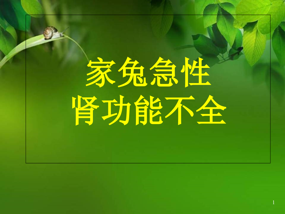 肾功能不全试验的实验报告医学课件_第1页