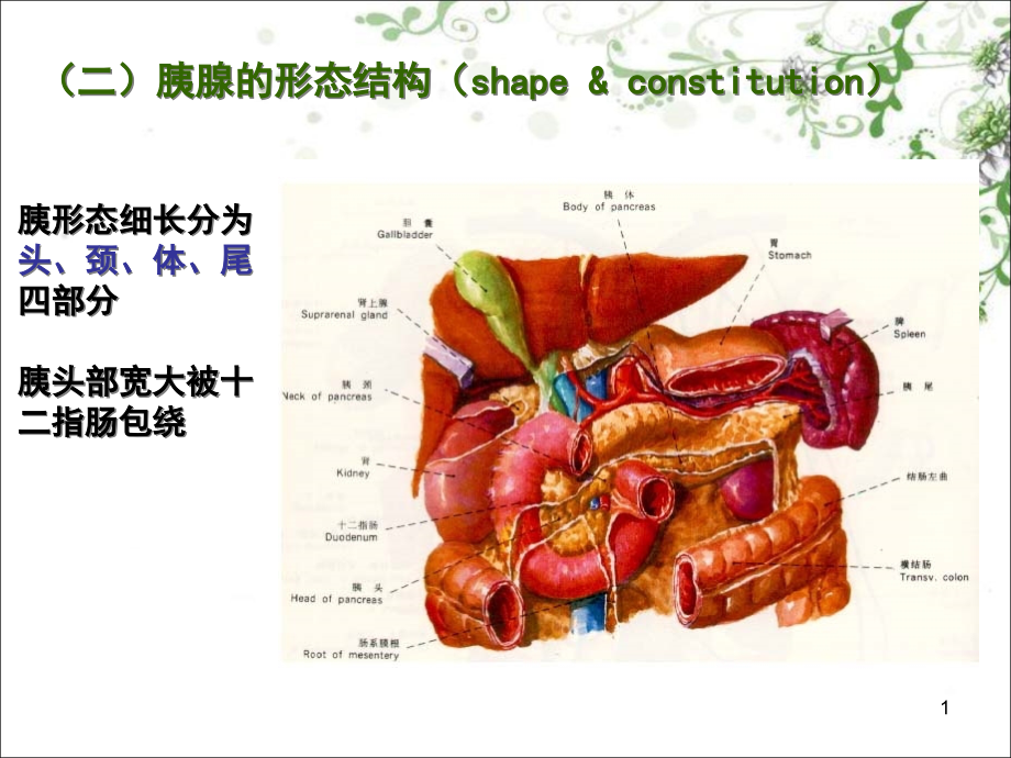 胰腺癌的护理课件_第1页