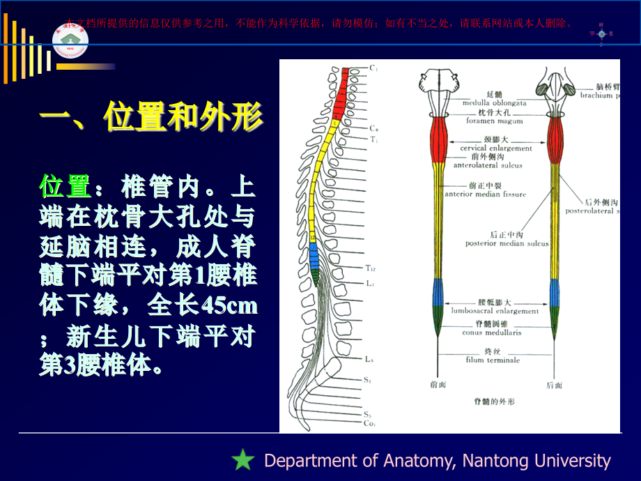 脊髓精细解剖培训ppt课件_第1页