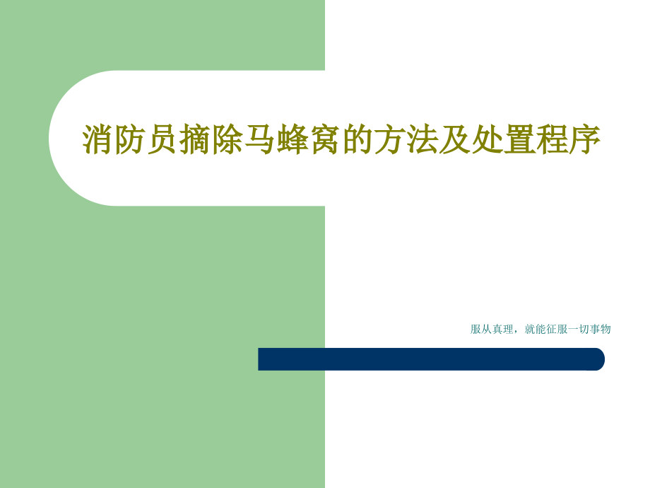 消防员摘除马蜂窝的方法及处置程序教学课件_第1页