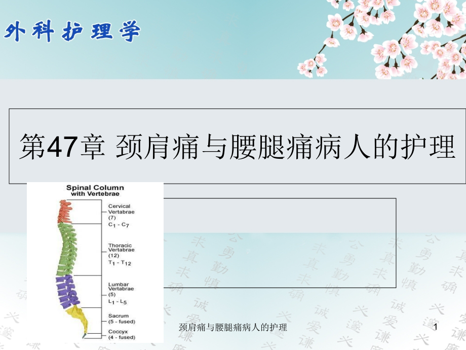 颈肩痛与腰腿痛病人的护理ppt课件_第1页