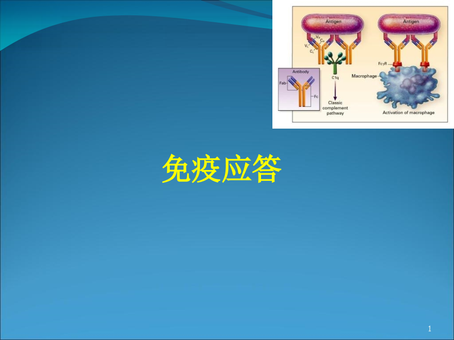 疫学基础课件_第1页