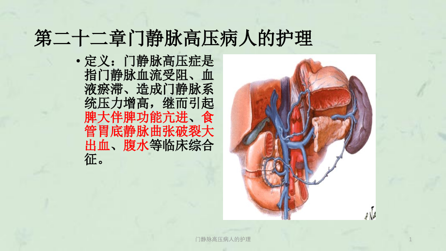 门静脉高压病人的护理ppt课件_第1页