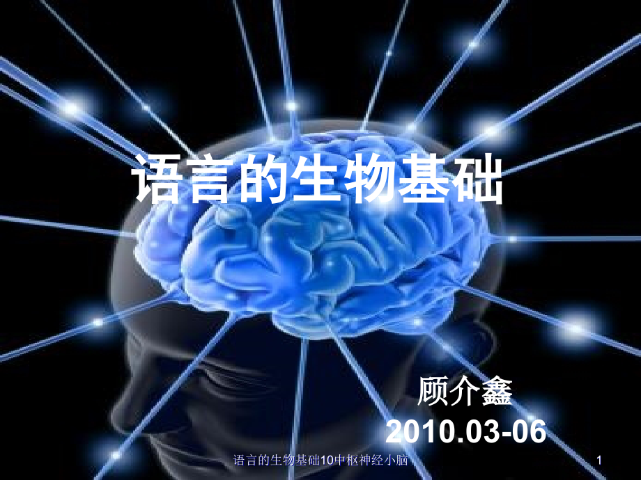 语言的生物基础10中枢神经小脑ppt课件_第1页